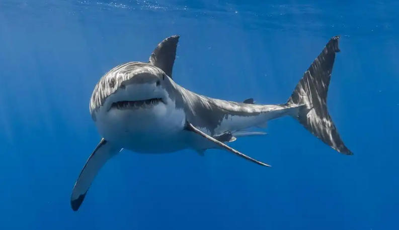 北京赛科安仪检测技术有限公司轮播图2